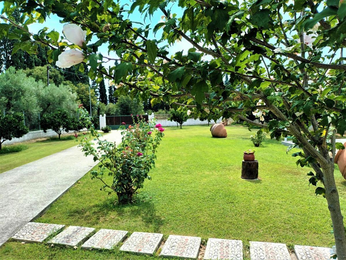 Zenia Pelion Garden House Vila Platanidia Exterior foto